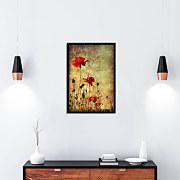 poster poppies